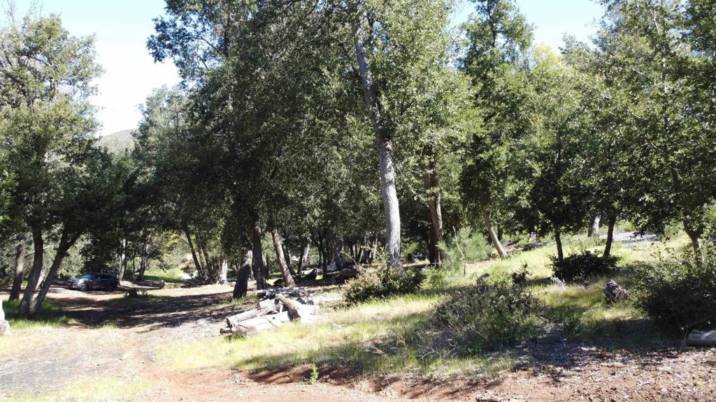 0 Toyon Mountain Ln