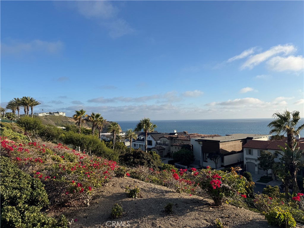 34102 Selva Road 364