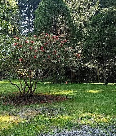 3027 Brier Lane