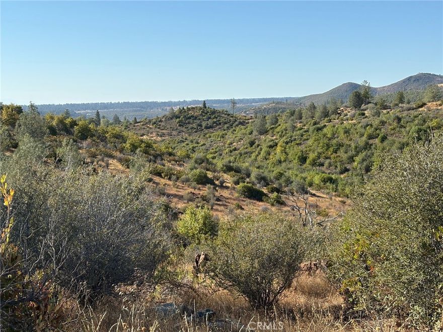 End of the road privacy with 10 acres of beautiful foothill and sunset views from the majority of this very usable land.  Currently equipped with a solar well, 2 storage sheds and a couple of water tanks totaling 3500 gallons, fenced in garden area with drip system, lots of sun, and a 28 ft travel trailer.  Property also has 3 seasonal creeks that converge and a seasonal pond.