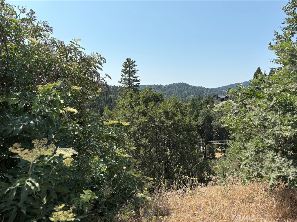 Arrowhead Woods (AWHW) - Land