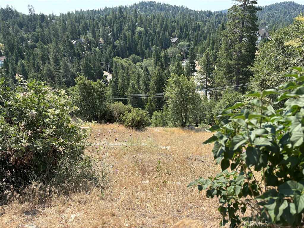 Arrowhead Woods (AWHW) - Land