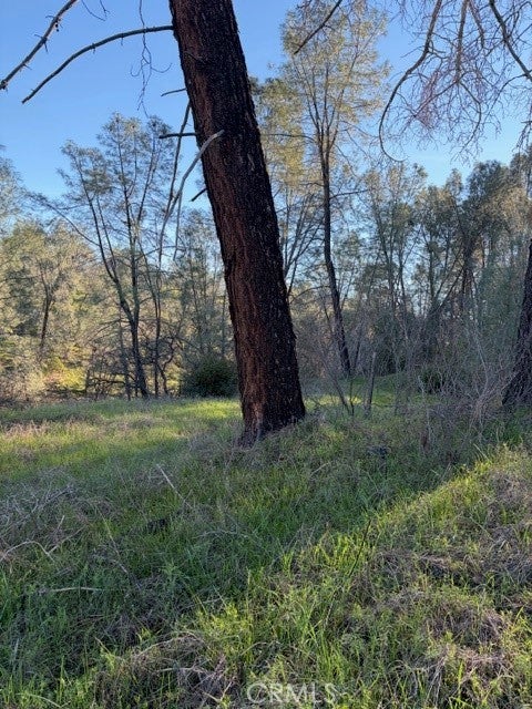 7098 Corral