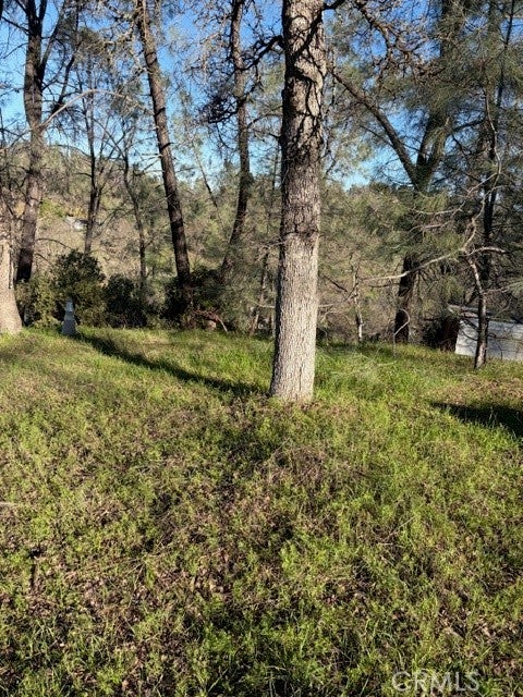 7098 Corral