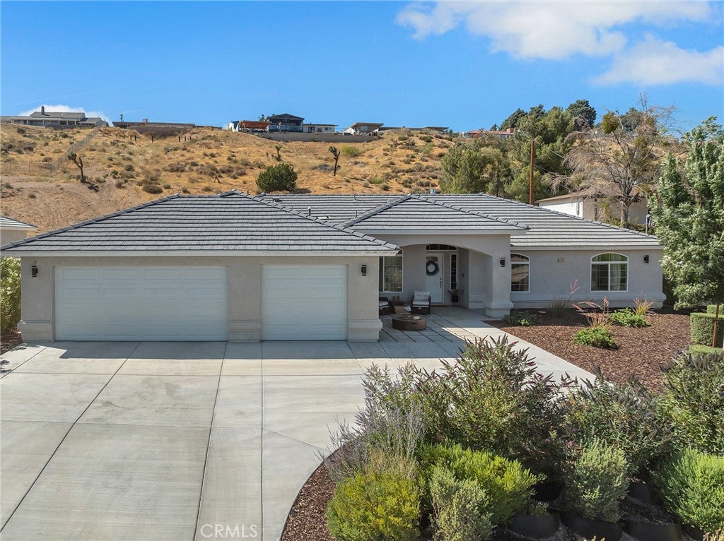 17542 Buckthorn
