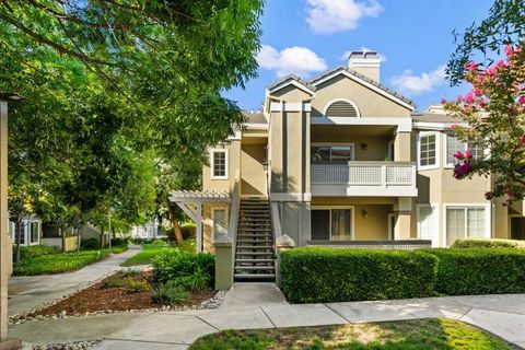 Photo of 5981 Lake Hennessy Court, San Jose, CA 95123 (MLS # ML82024960) Photo of 5981 Lake Hennessy Court, San Jose, CA 95123 (MLS # ML82024960)