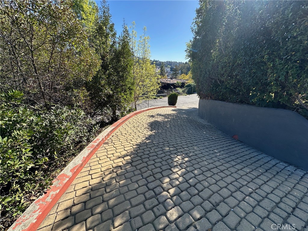 3907 Fredonia Drive