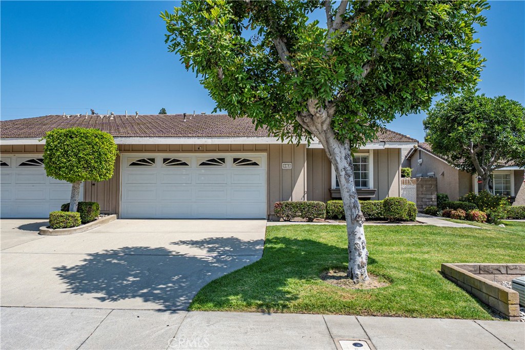 963 Shady Lane