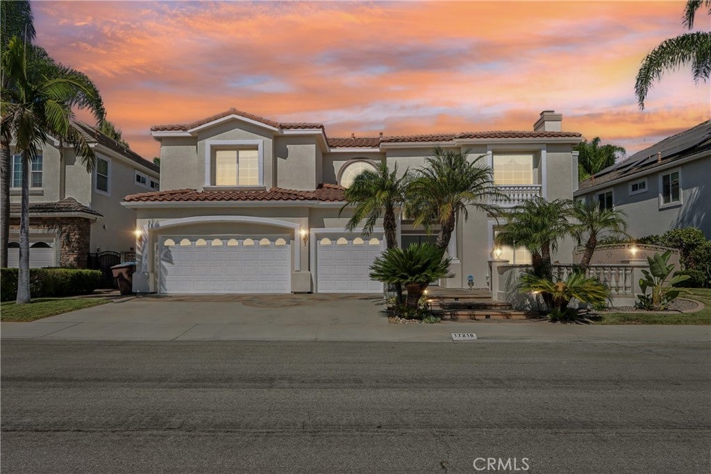 17218 Blue Spruce