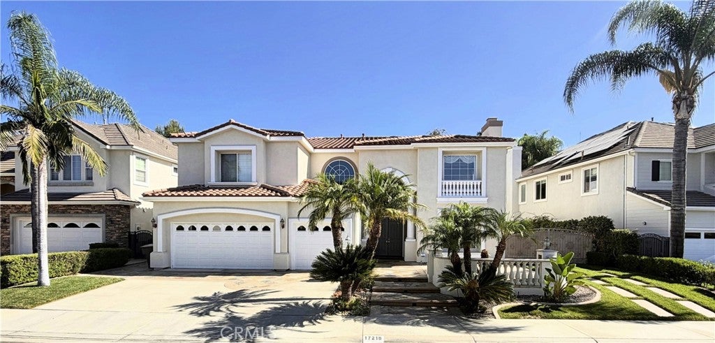 17218 Blue Spruce