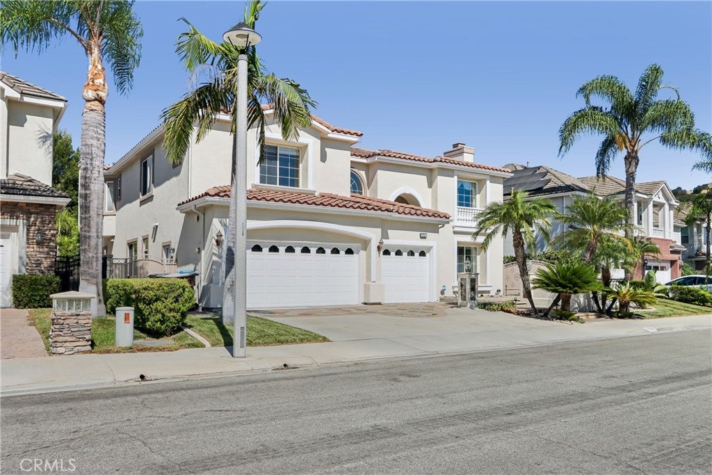 17218 Blue Spruce