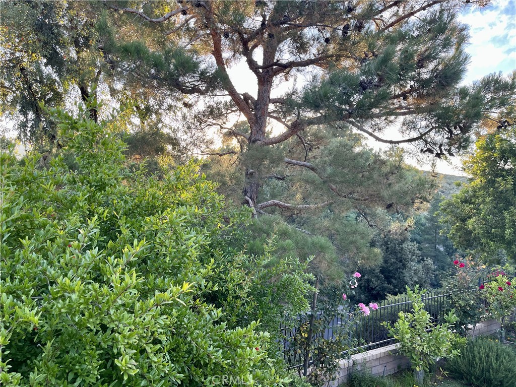 Hidden Valley (HDNV) - Residential