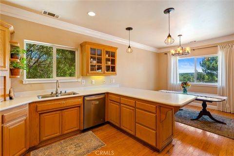 Tiny photo for 213 Grand Canyon DR, Paso Robles, CA 93446 (MLS # NS26148907)