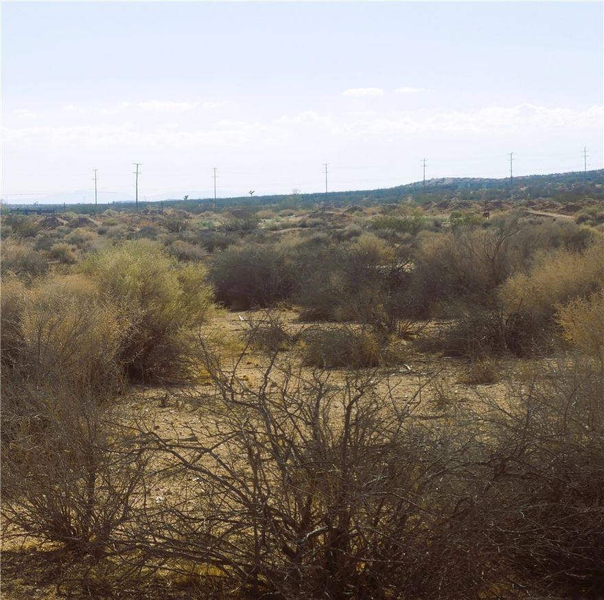 Discover your own private retreat on this relatively flat, off-the-grid lot in the historic town of Boron, CA. Spanning approximately .625 acres this property offers a rare opportunity for complete tranquility. Imagine a life with no streetlights, no traffic, and endless open space. Located in the heart of a town once famous for its 20-mule team trains hauling the trace mineral Boron, this land is steeped in history. It’s also just minutes from the former home of U.S. Borax. With its residential atmosphere, this peaceful setting is also ideal for farming or a private homesite.