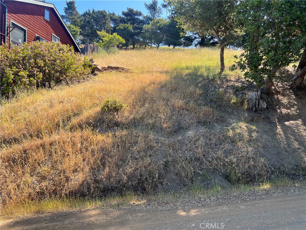 0 Pierce Avenue