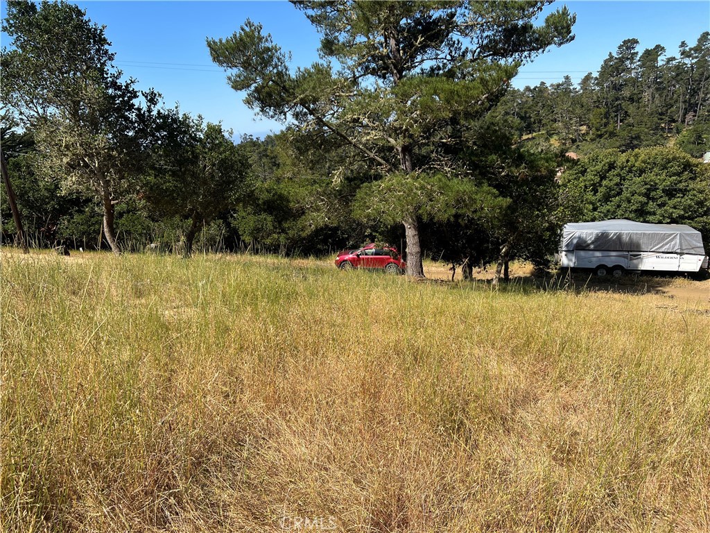 0 Pierce Avenue
