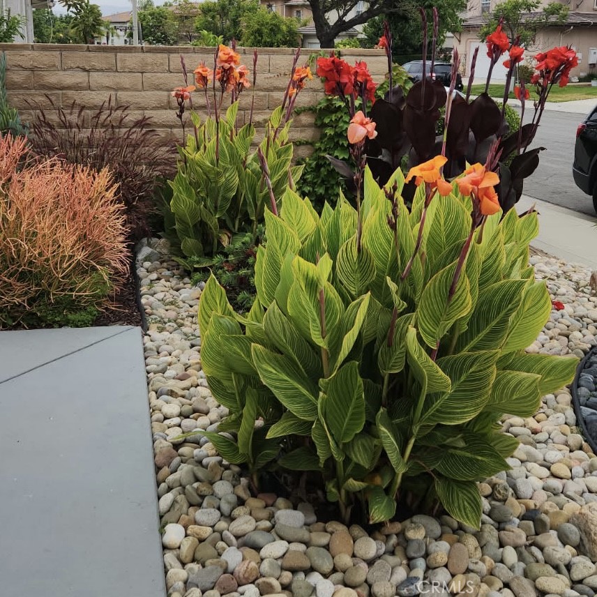 1575 River Wood Court