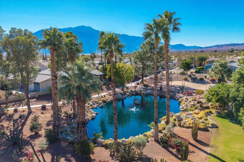 Desert Willow - Residential