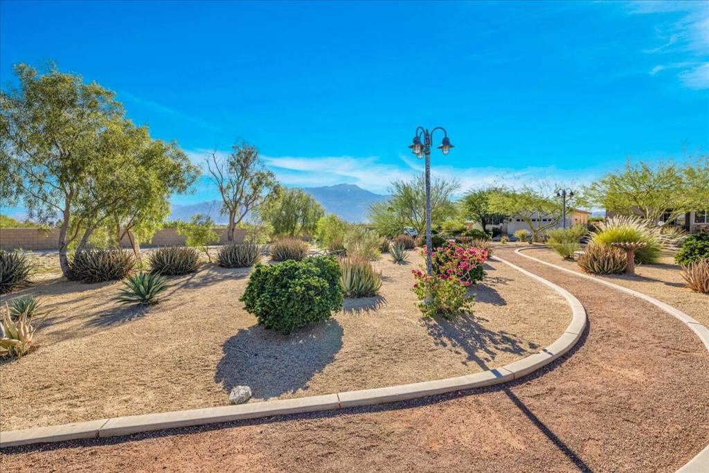 Desert Willow - Residential