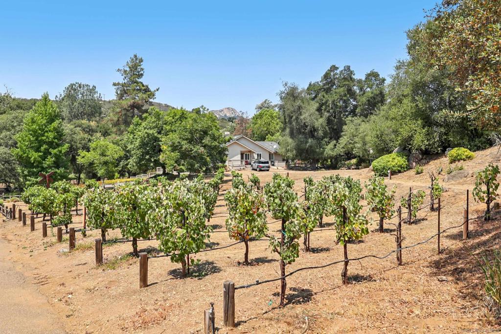 14671 Mussey Grade Rd