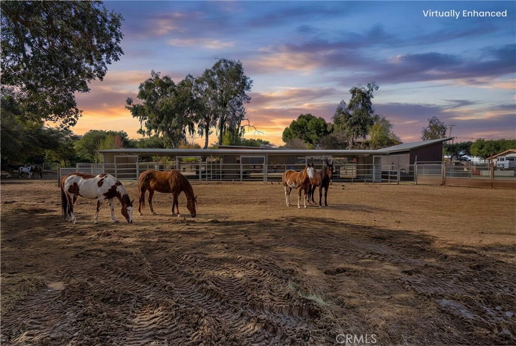 17705 Rodeo Road