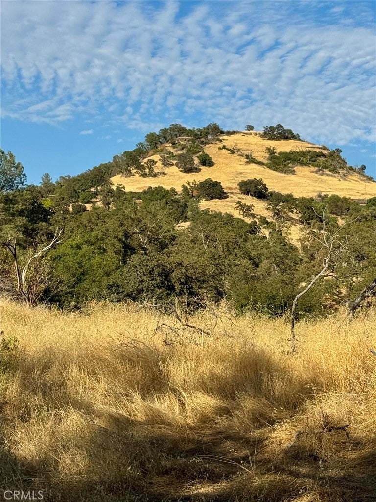 3258 Dry Creek Road