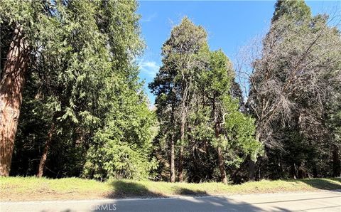 Photo of 0 Hook Creek, Cedar Glen, CA 92321 (MLS # IG26047763)