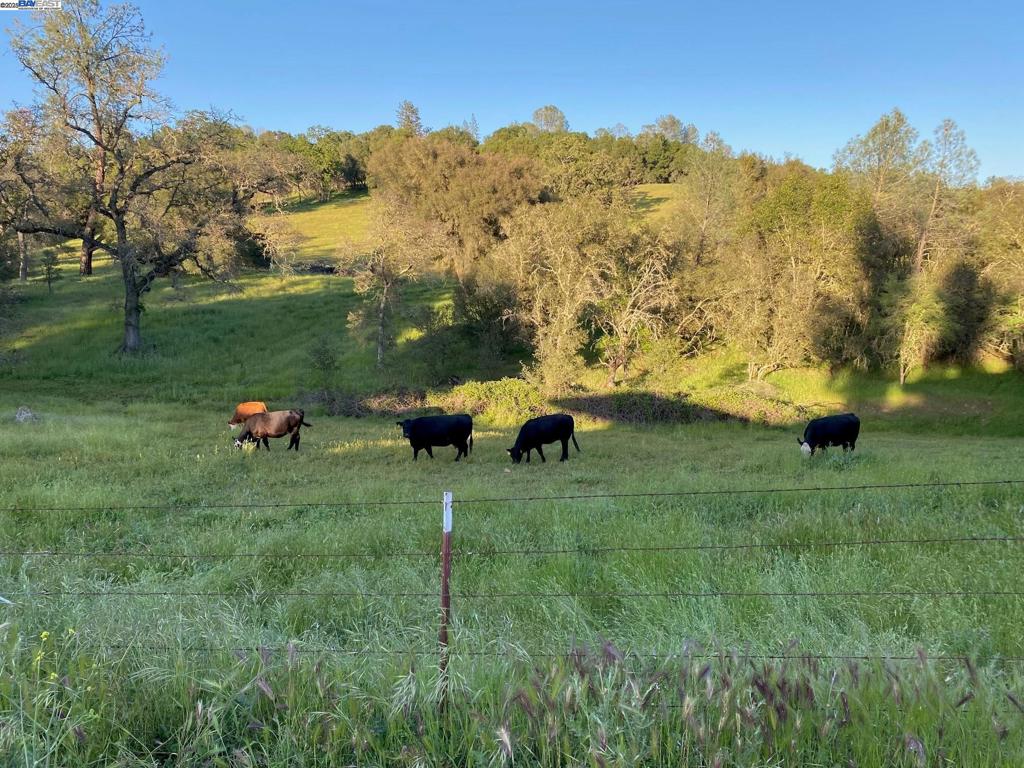 Other - Residential Lease