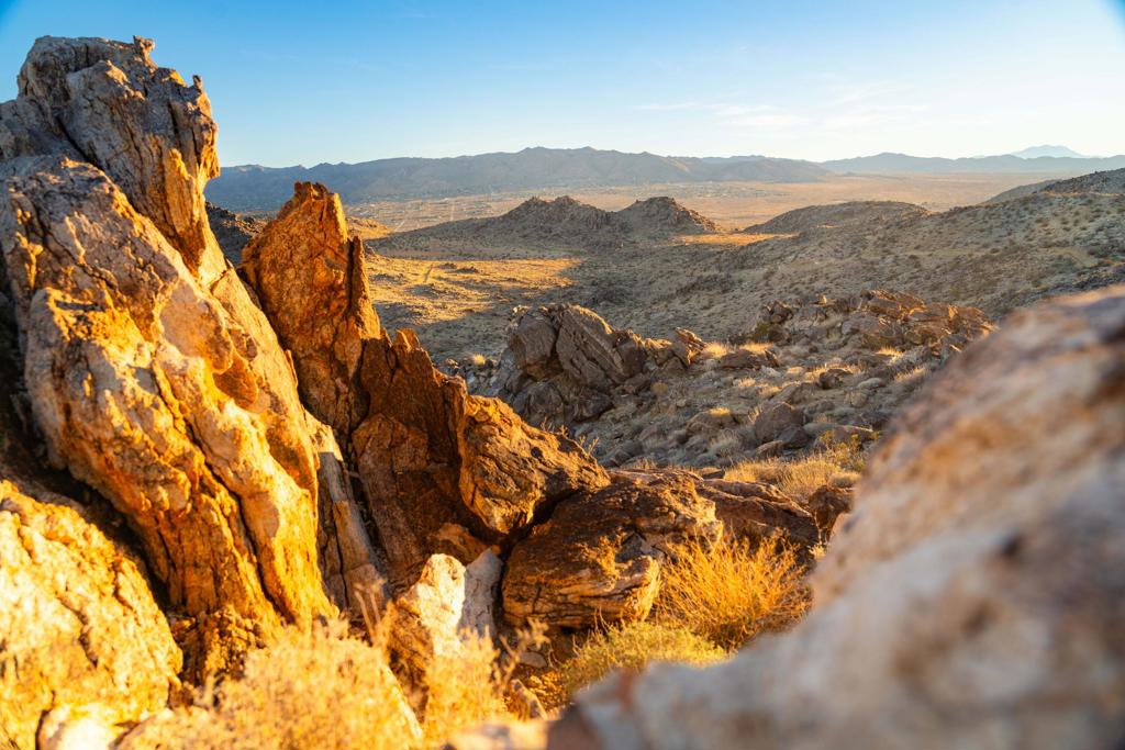 61271 Calle Los Amigos