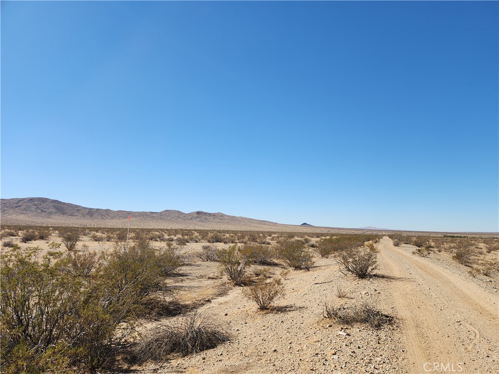 3334 Panamint Trail