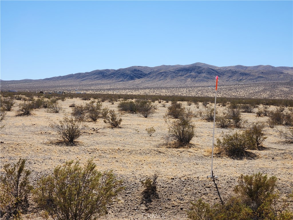 3334 Panamint Trail
