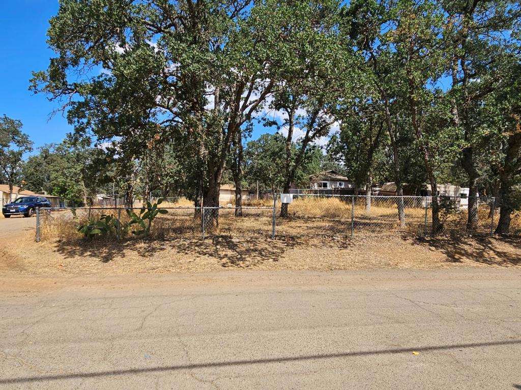 Flat spacious 10,019 Sq Ft corner lot on paved street surrounded by nice residential properties in a quiet and secluded neighborhood. Electric, water and sewer service lines are readily available in the street.