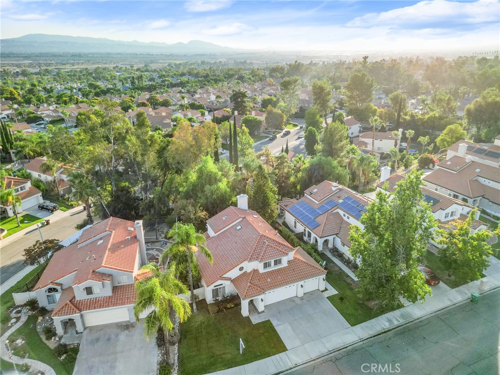 29287 Silverfern Place
