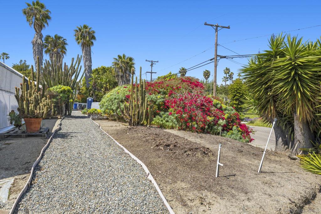 1037 Buena Vista Drive