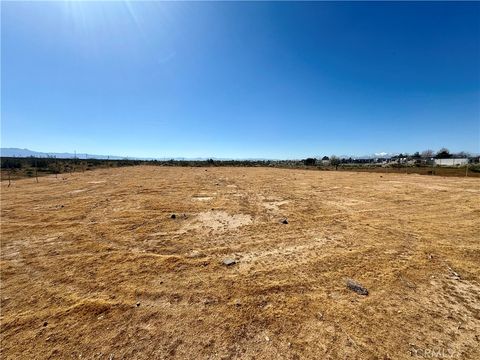 1 Lemon Hesperia CA 92345