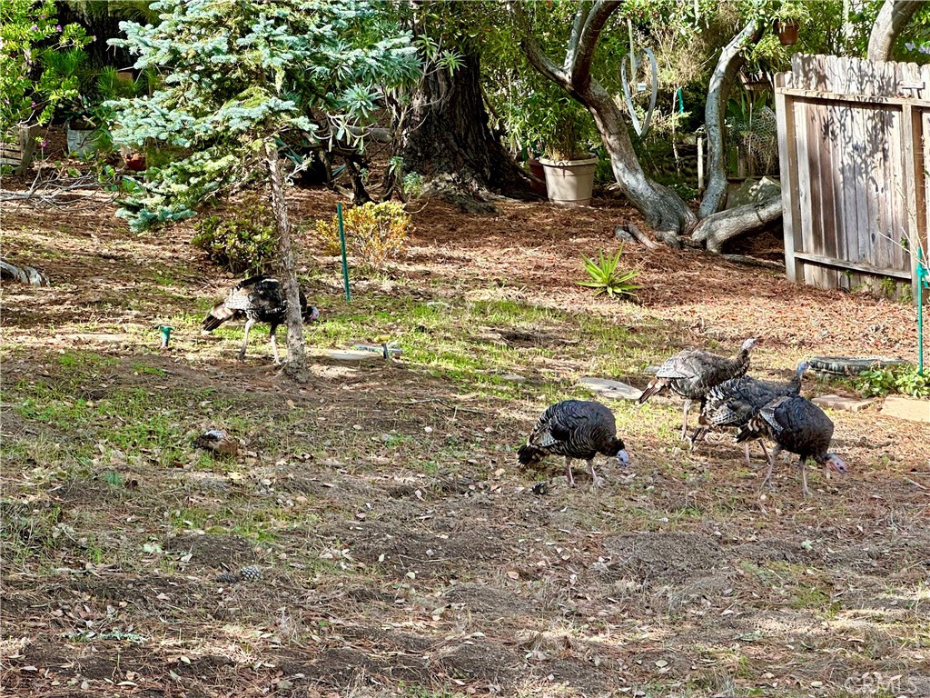 Top of the World(2170) - Residential