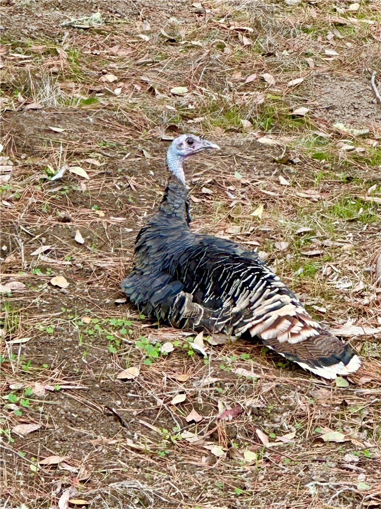 Top of the World(2170) - Residential