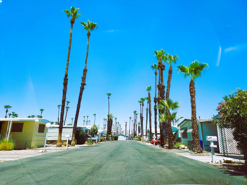 Royal Palms - Manufactured In Park