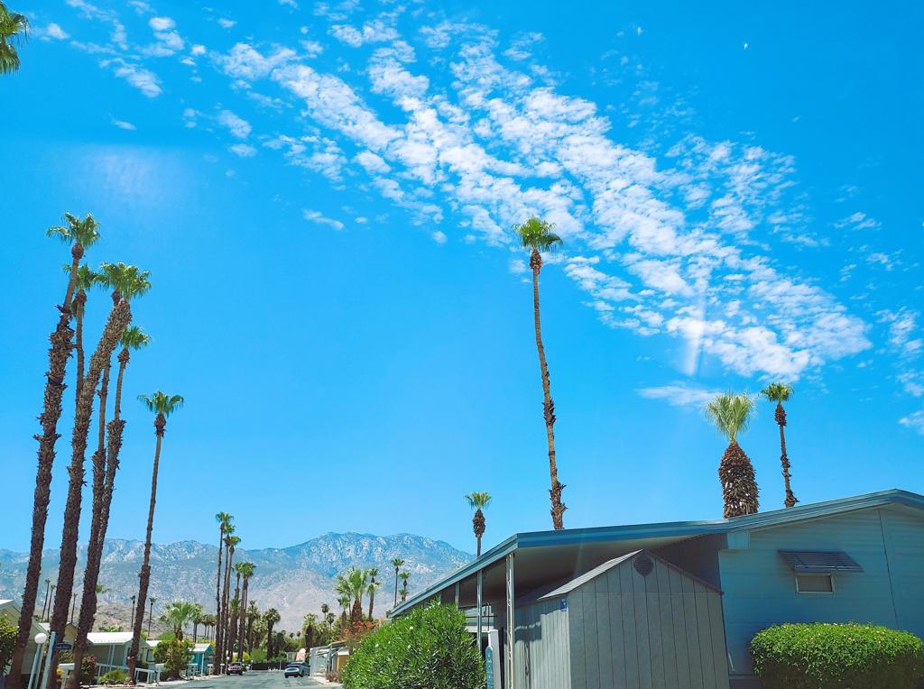 Royal Palms - Manufactured In Park