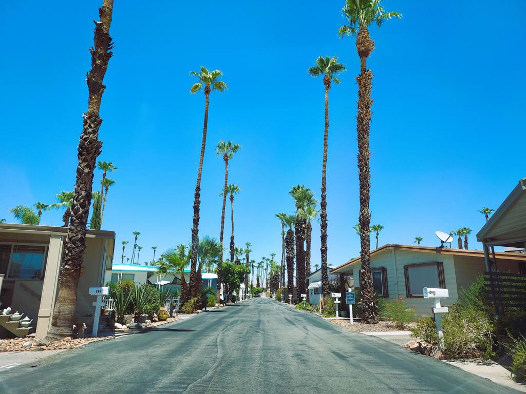 Royal Palms - Manufactured In Park