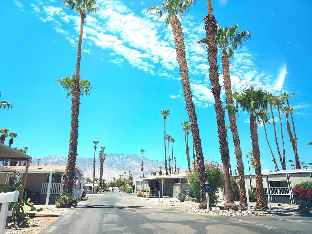 Royal Palms - Manufactured In Park