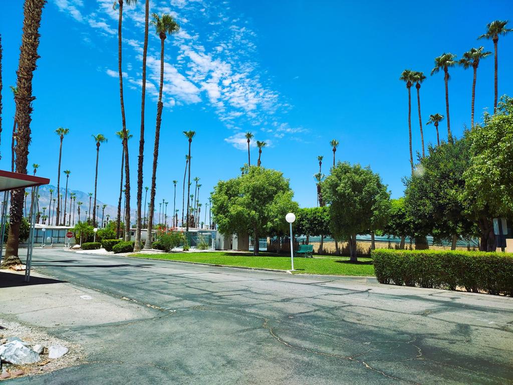 Royal Palms - Manufactured In Park