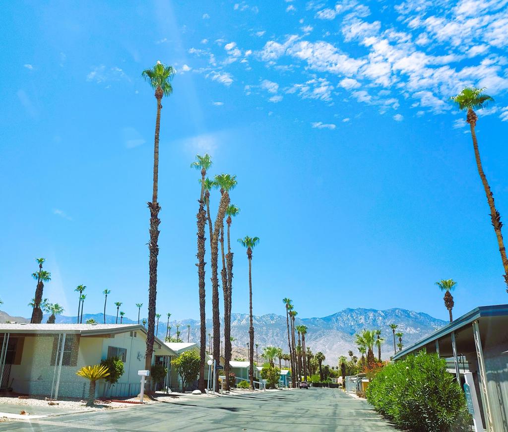 Royal Palms - Manufactured In Park