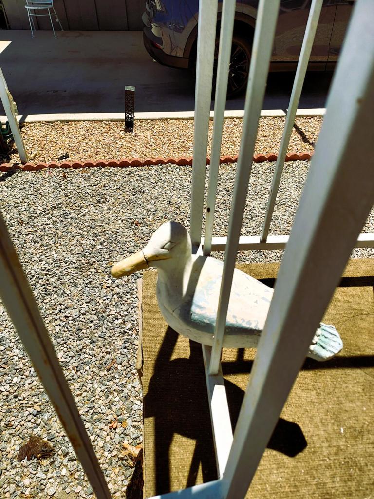 Royal Palms - Manufactured In Park