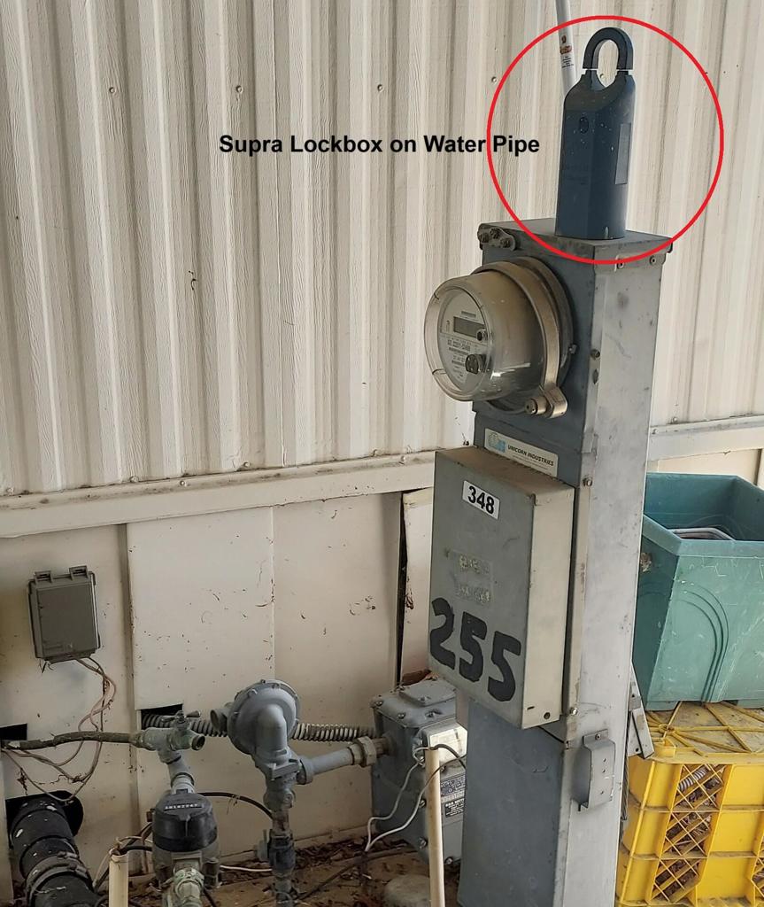 Royal Palms - Manufactured In Park