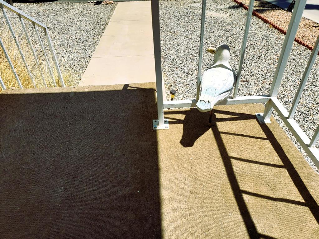 Royal Palms - Manufactured In Park