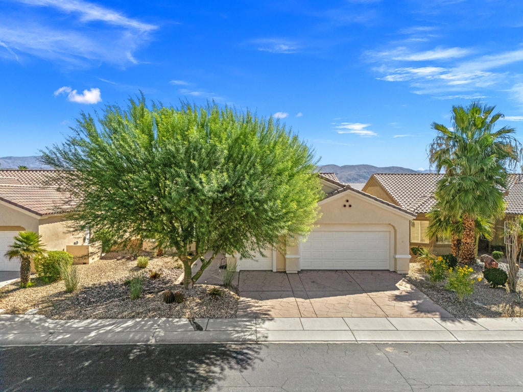 36560 Blue Palm Drive