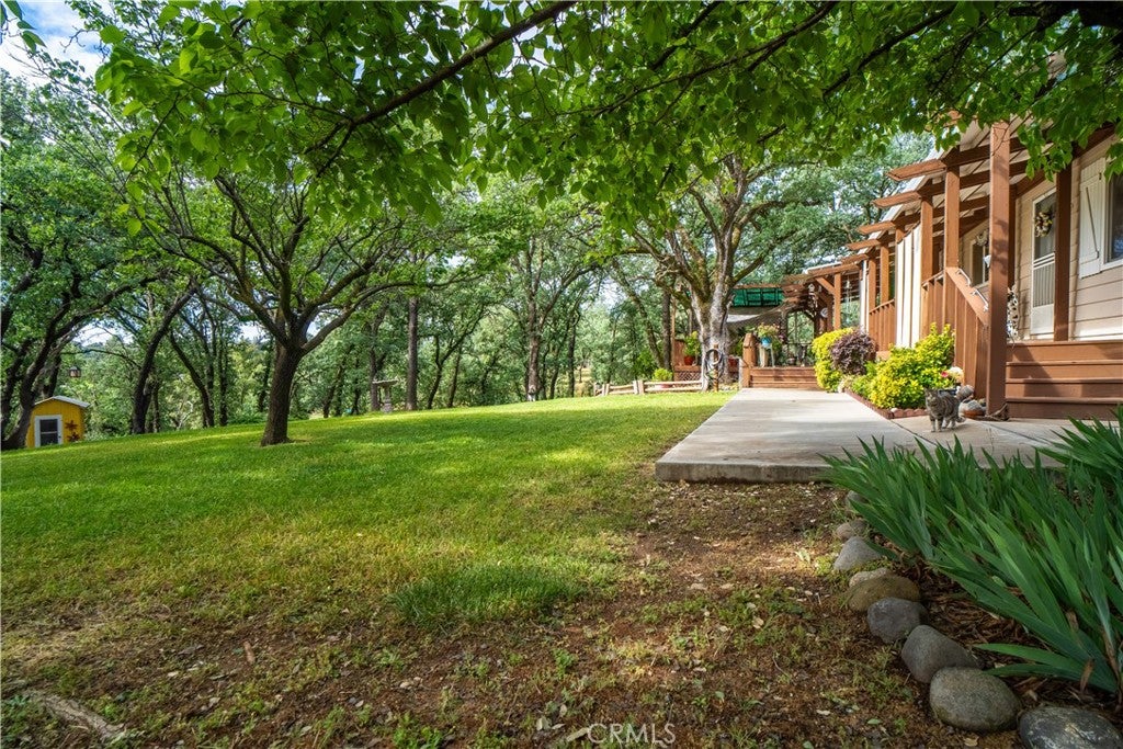19611 Reeds Creek