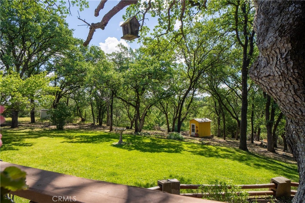 19611 Reeds Creek