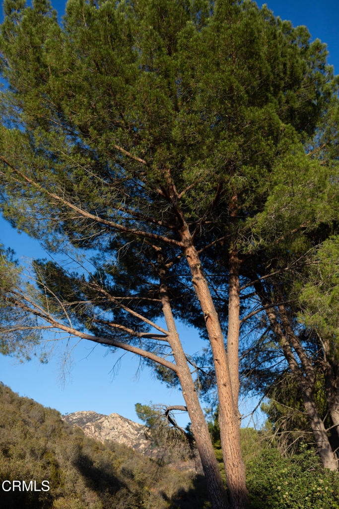 Custom - Residential